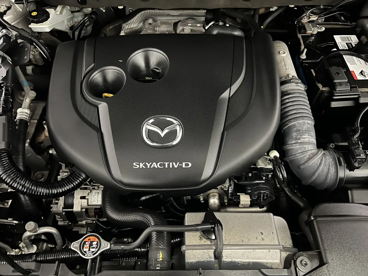 2021 MAZDA CX-8 Gallery Image 22