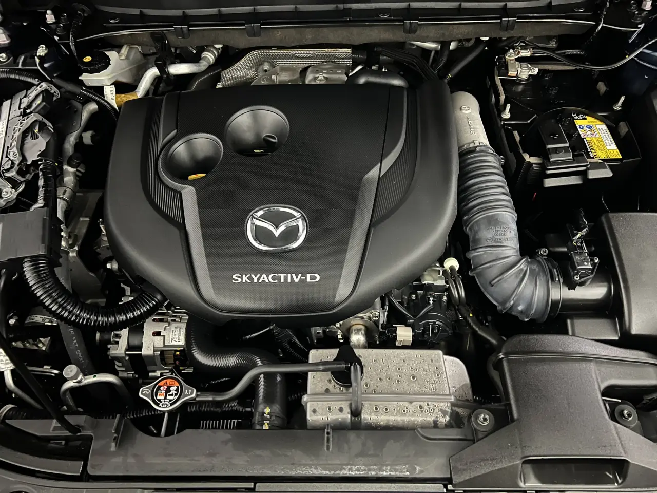 2021 MAZDA CX-5 Gallery Image 21