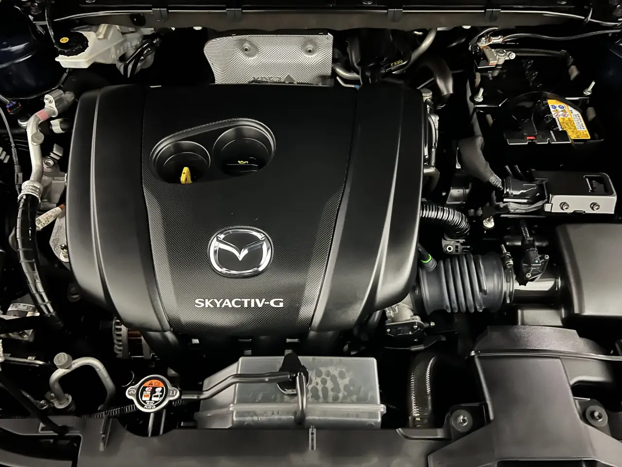2021 MAZDA CX-8 Gallery Image 22