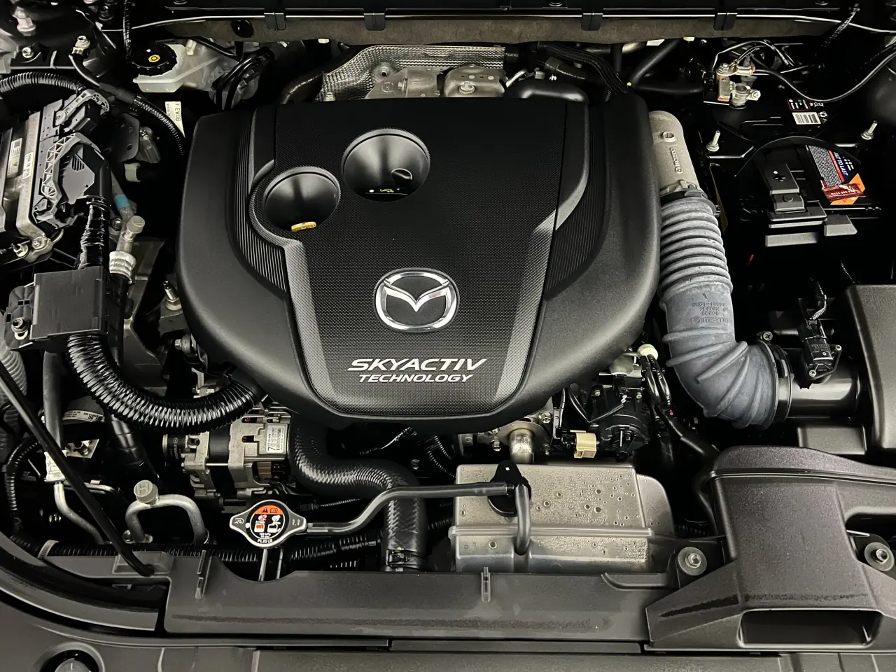 2019 MAZDA CX-8 Gallery Image 22