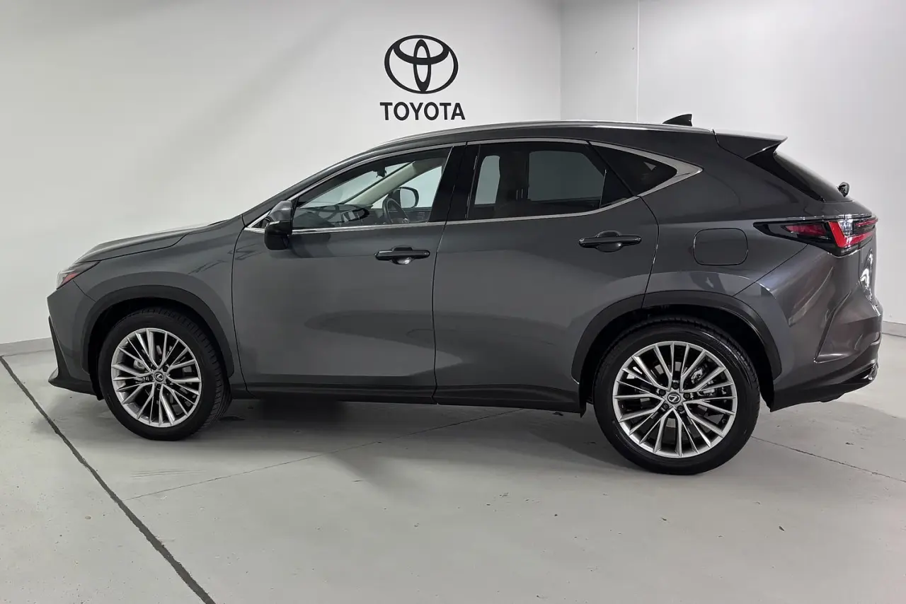 2024 Lexus NX Gallery Image 9