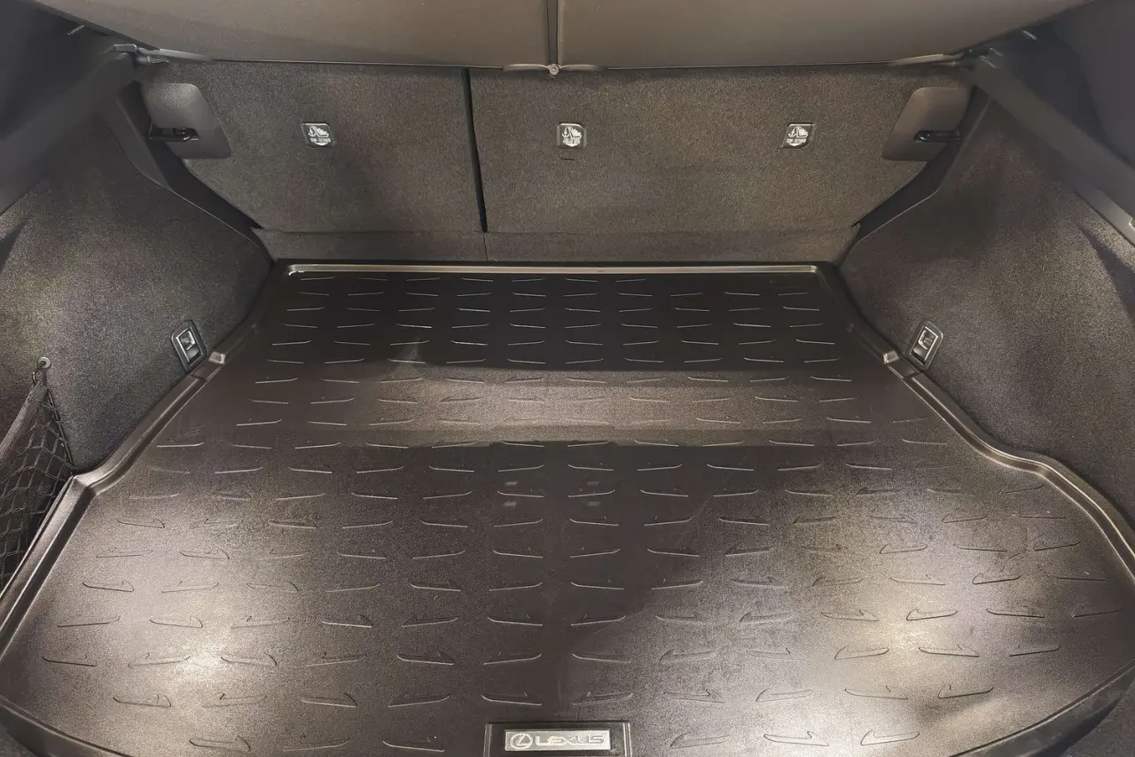 2025 Lexus NX Gallery Image 12