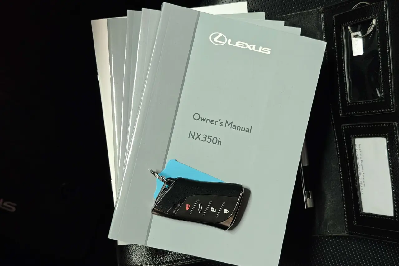 2025 Lexus NX Gallery Image 21