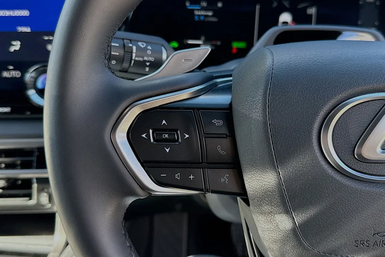 2025 Lexus RX Gallery Image 18
