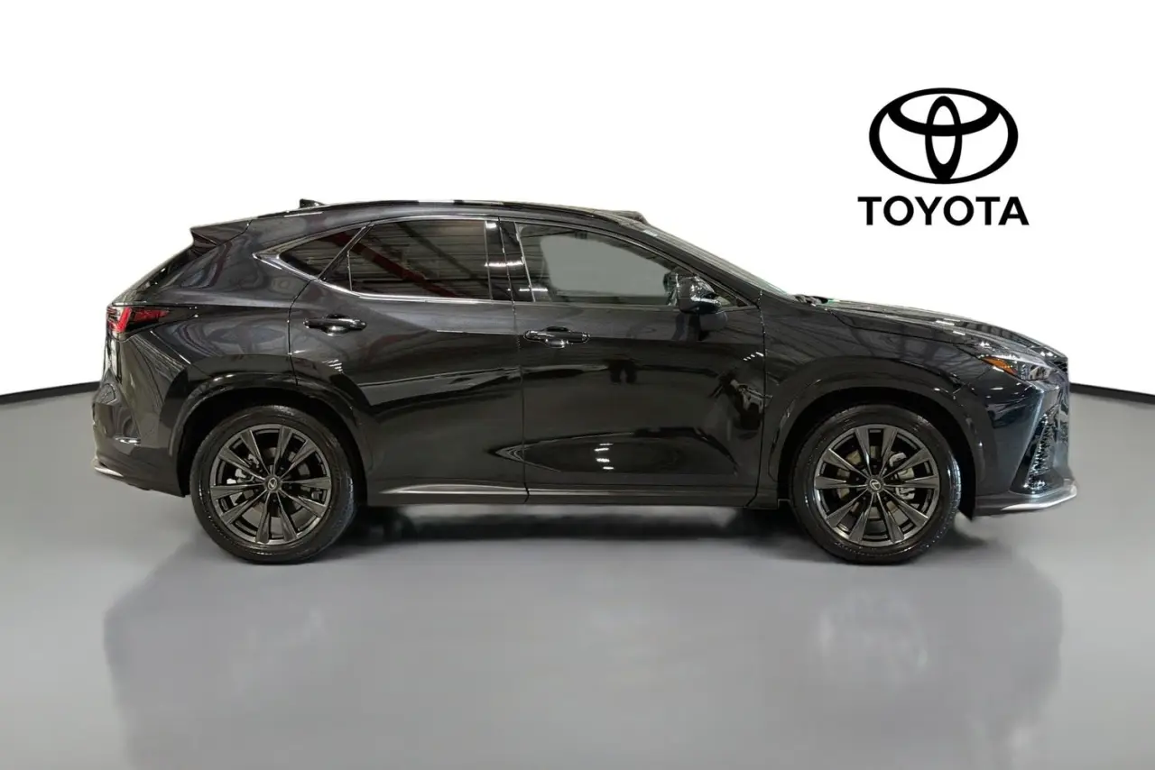 2025 Lexus NX Gallery Image 11