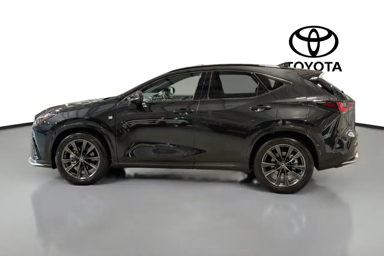 2025 Lexus NX Gallery Image 5