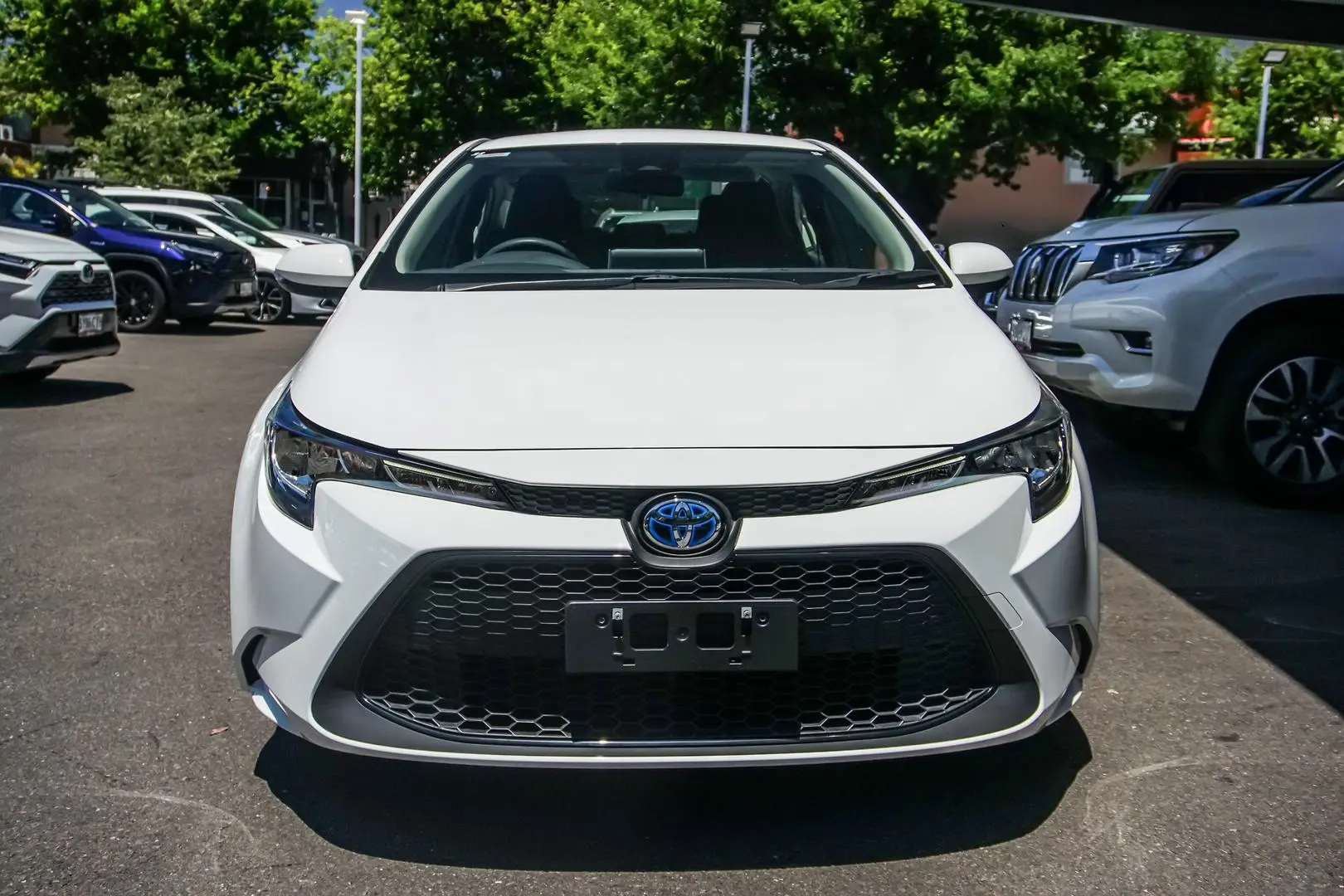 2021 Toyota Corolla Gallery Image 4