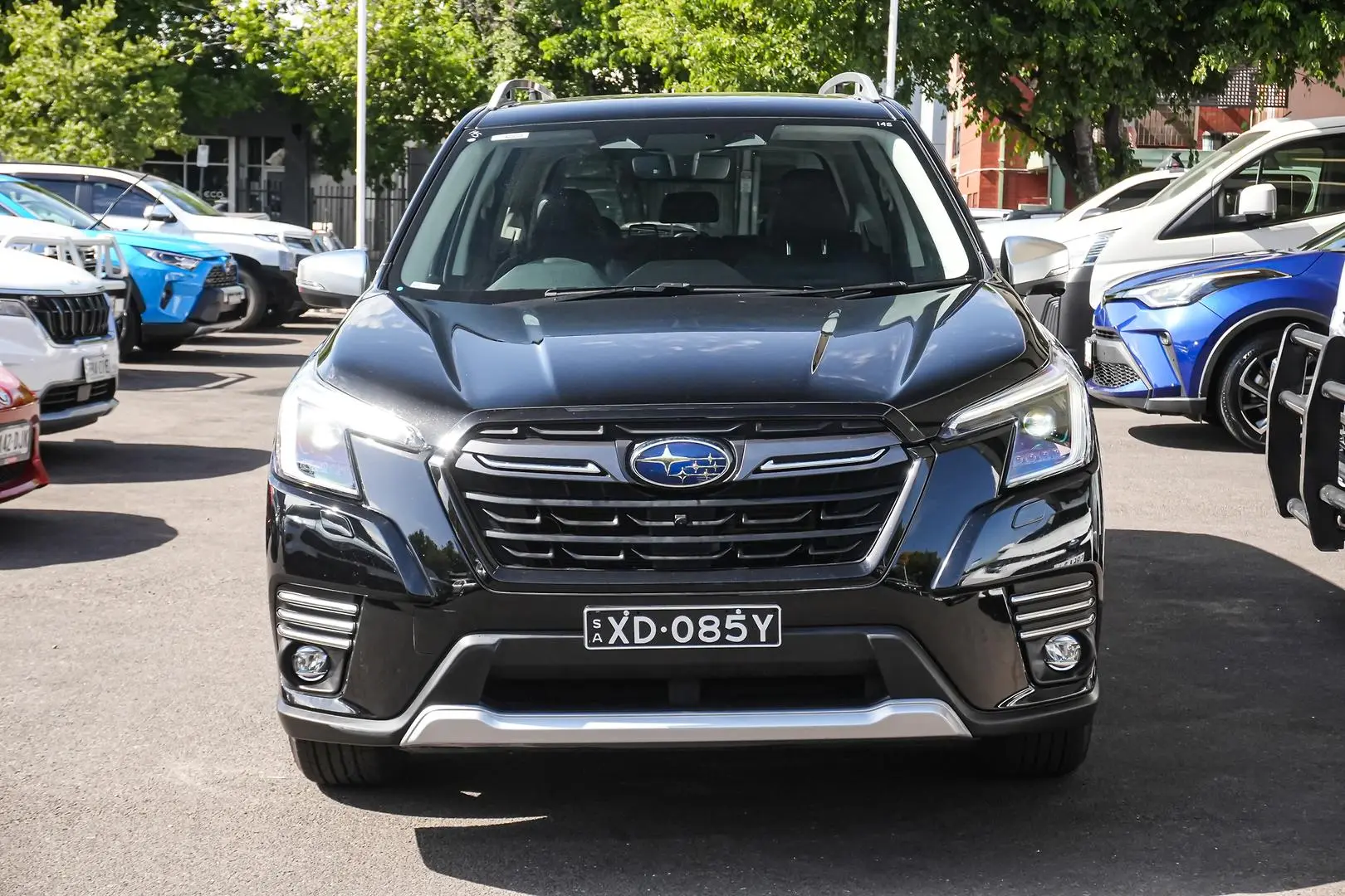 2024 Subaru Forester Gallery Image 5