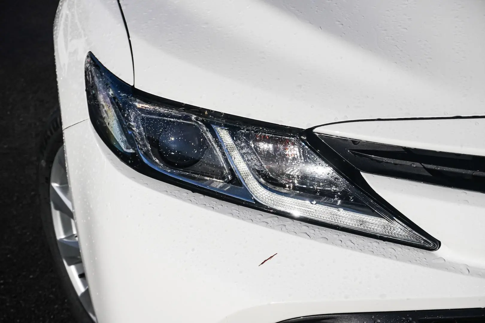 2019 Toyota Camry Gallery Image 12
