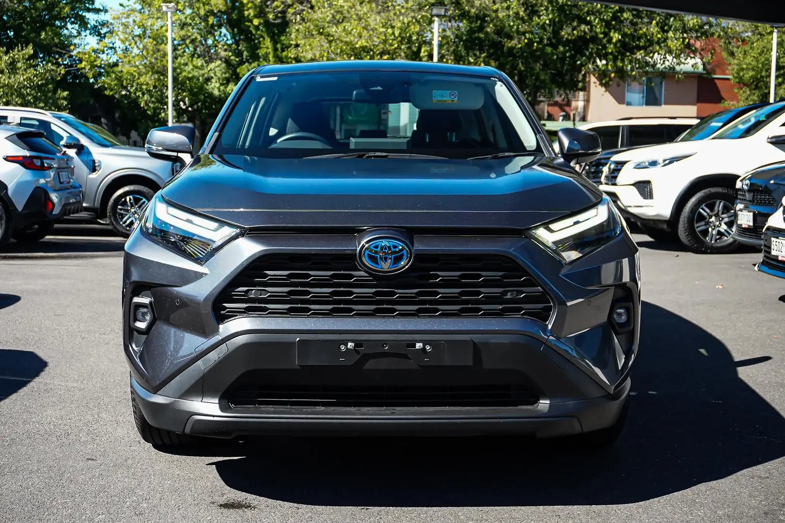 2022 Toyota RAV4 Gallery Image 4
