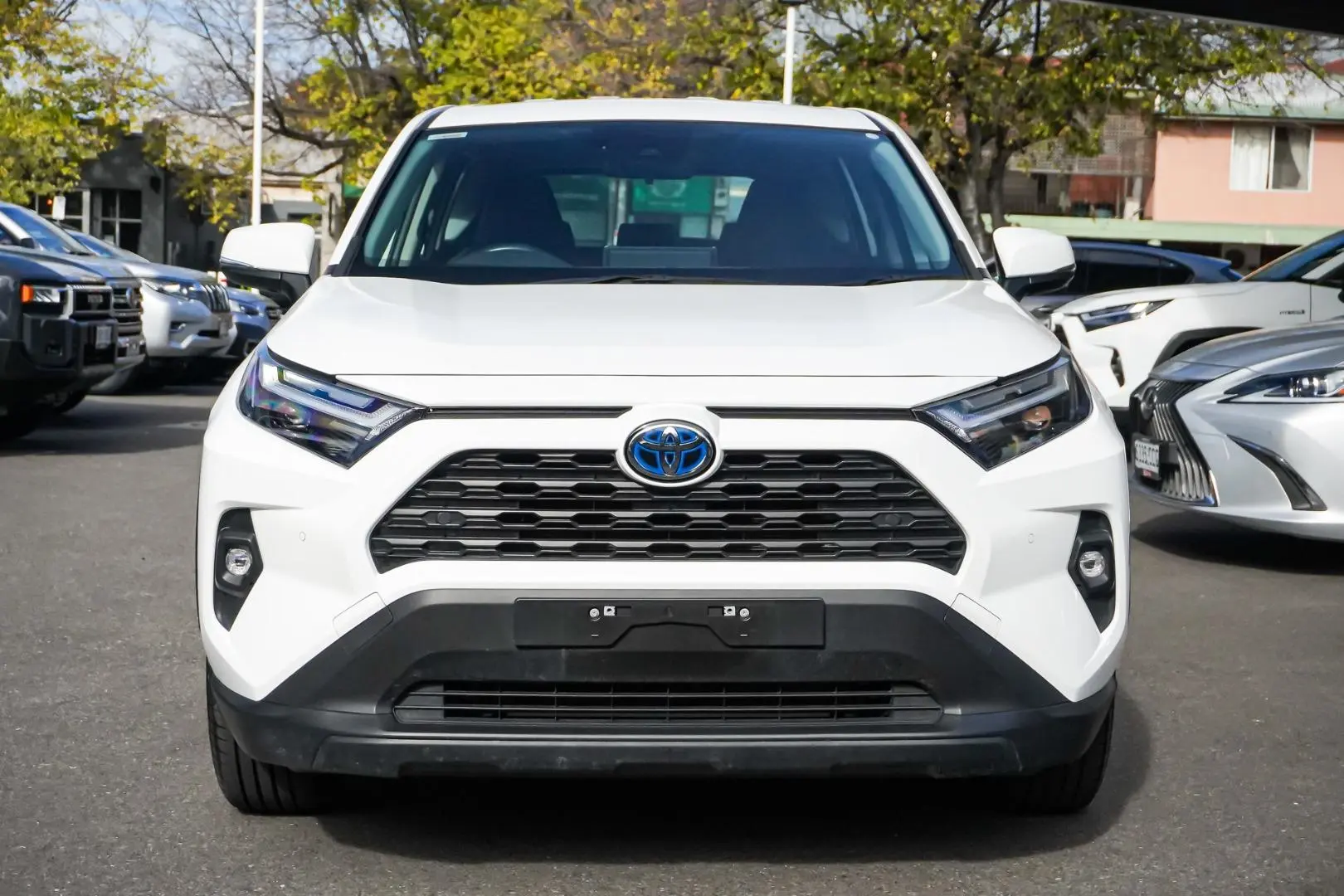 2024 Toyota RAV4 Gallery Image 4