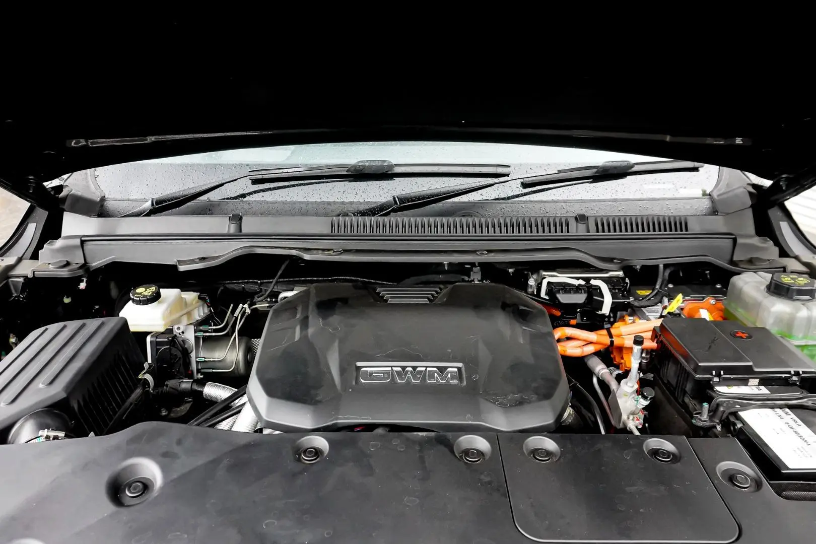 2025 GWM Cannon Alpha Gallery Image 32