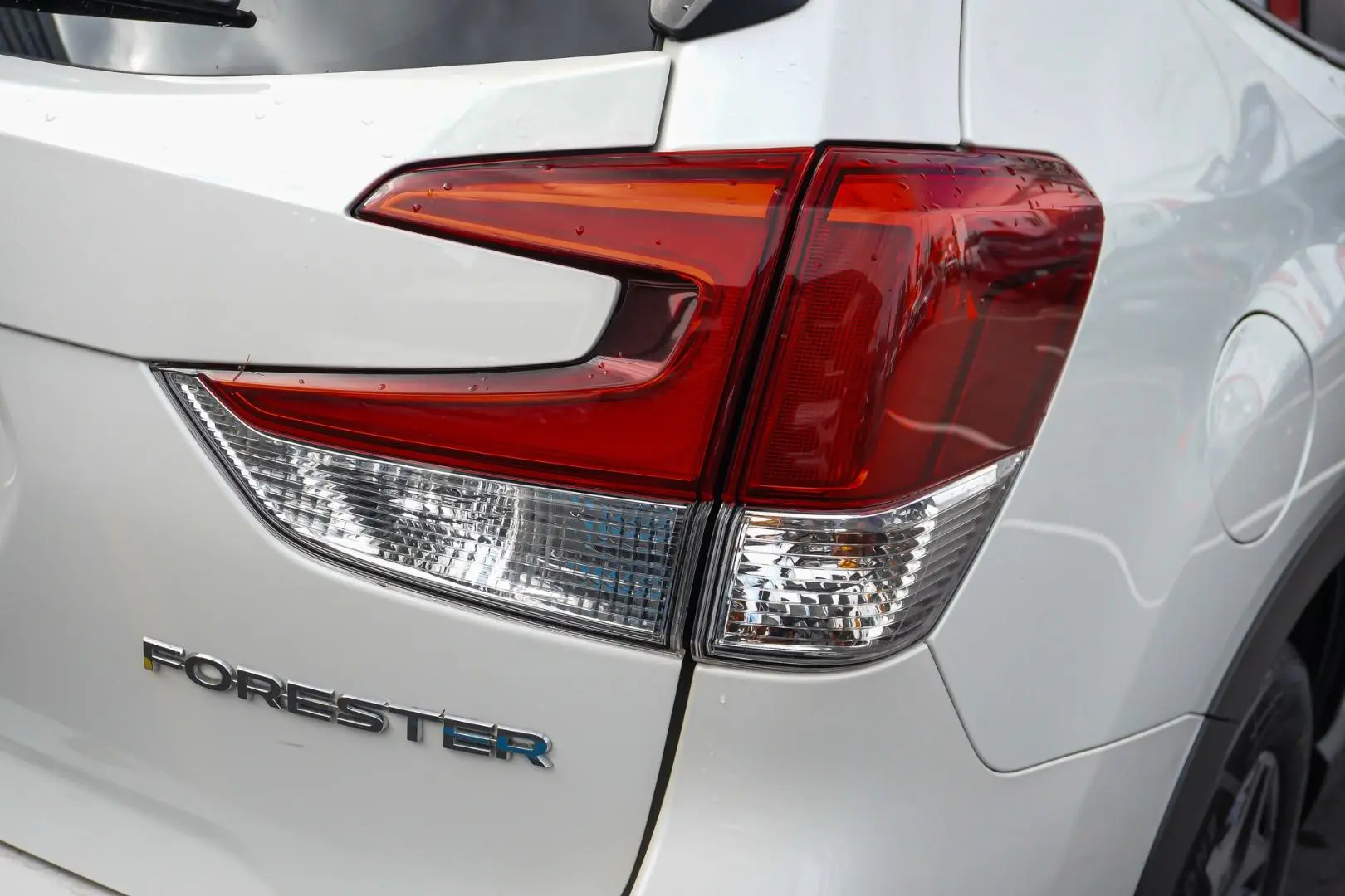2024 Subaru Forester Gallery Image 14