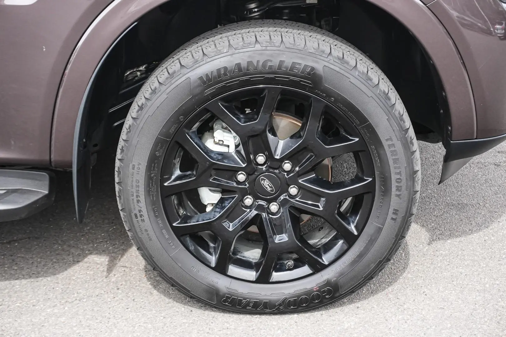 2024 Ford Everest Gallery Image 12