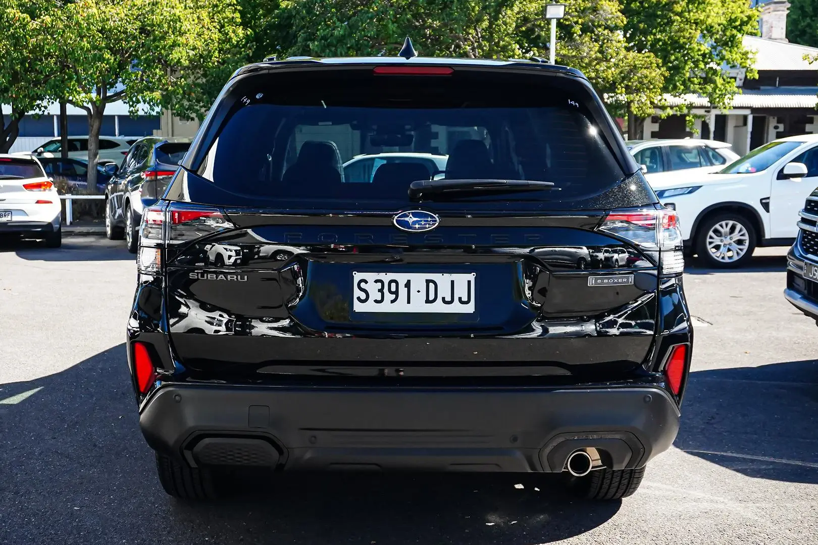 2025 Subaru Forester Gallery Image 5