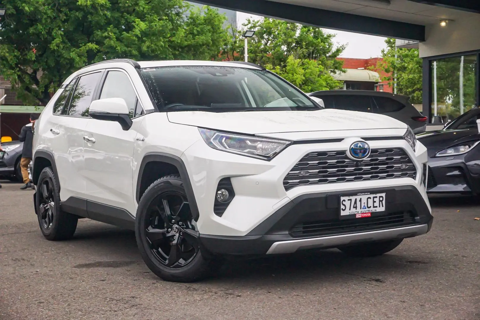 2019 Toyota RAV4 Image 1