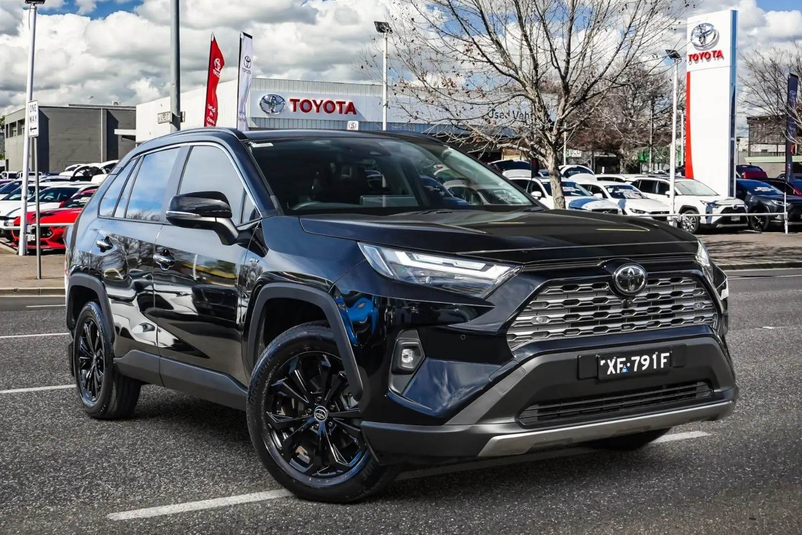 2025 Toyota RAV4 Image