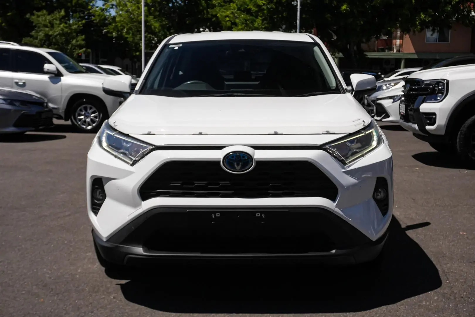 2019 Toyota RAV4 Gallery Image 4