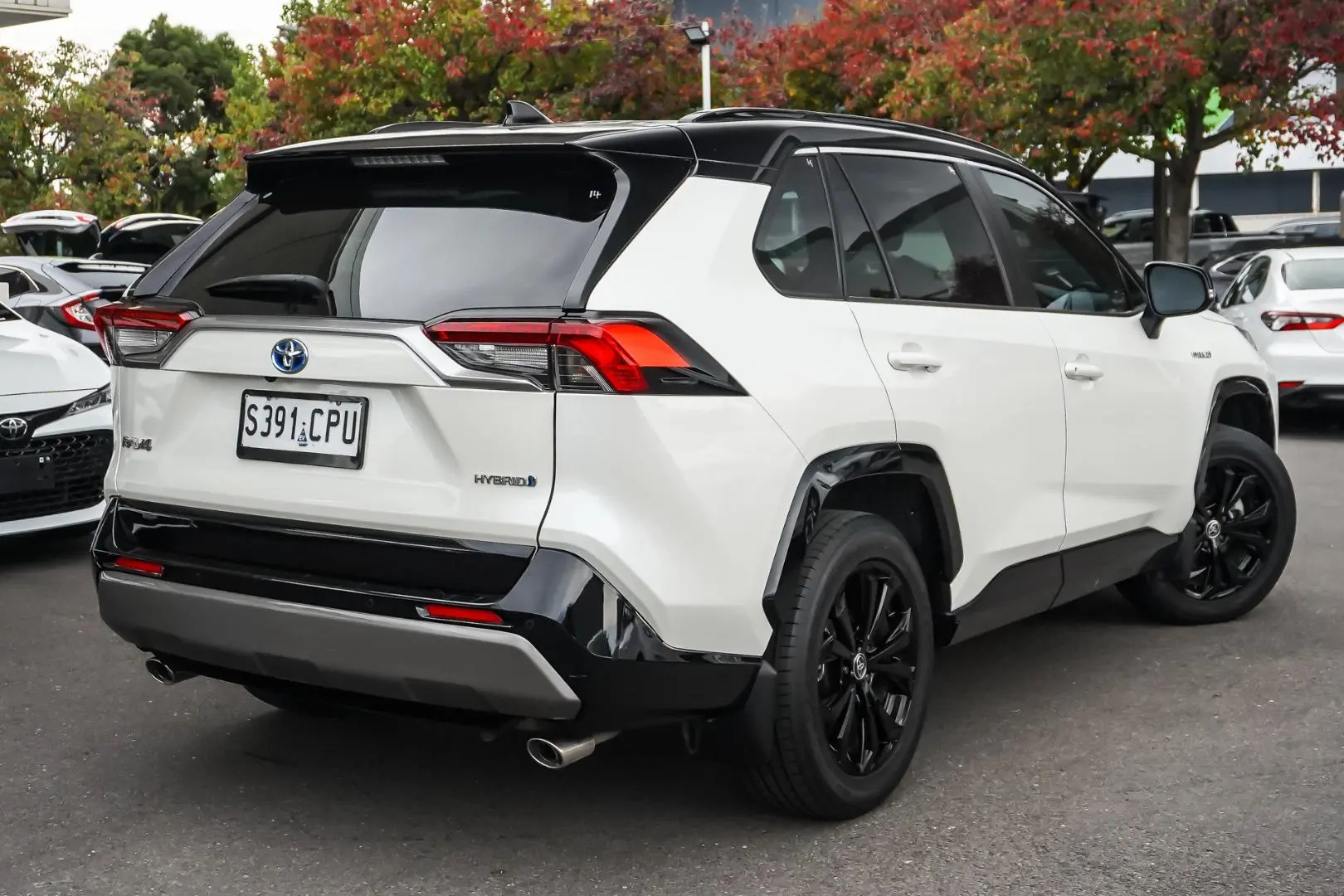 2022 Toyota RAV4 Gallery Image 3