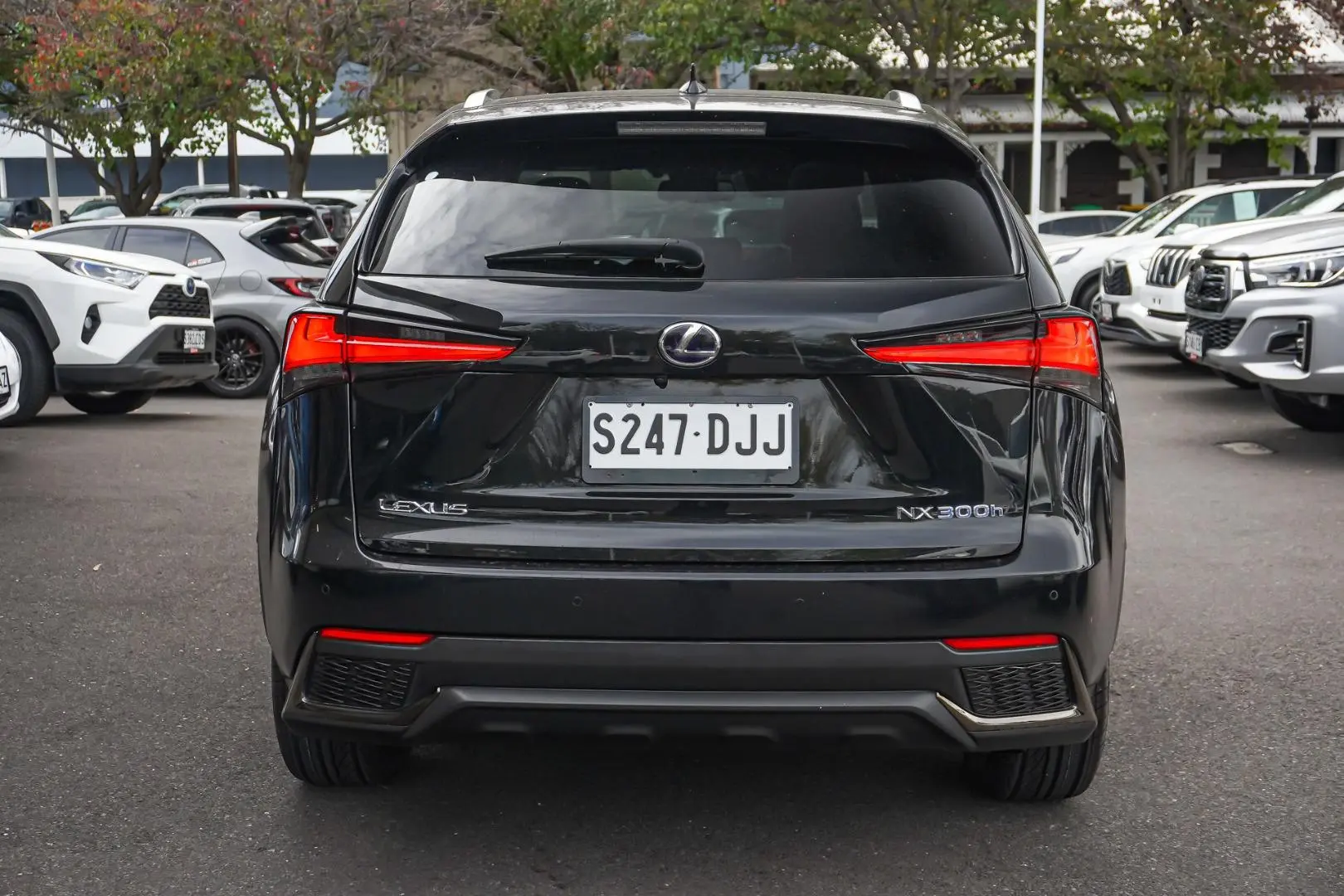 2018 Lexus NX Gallery Image 6