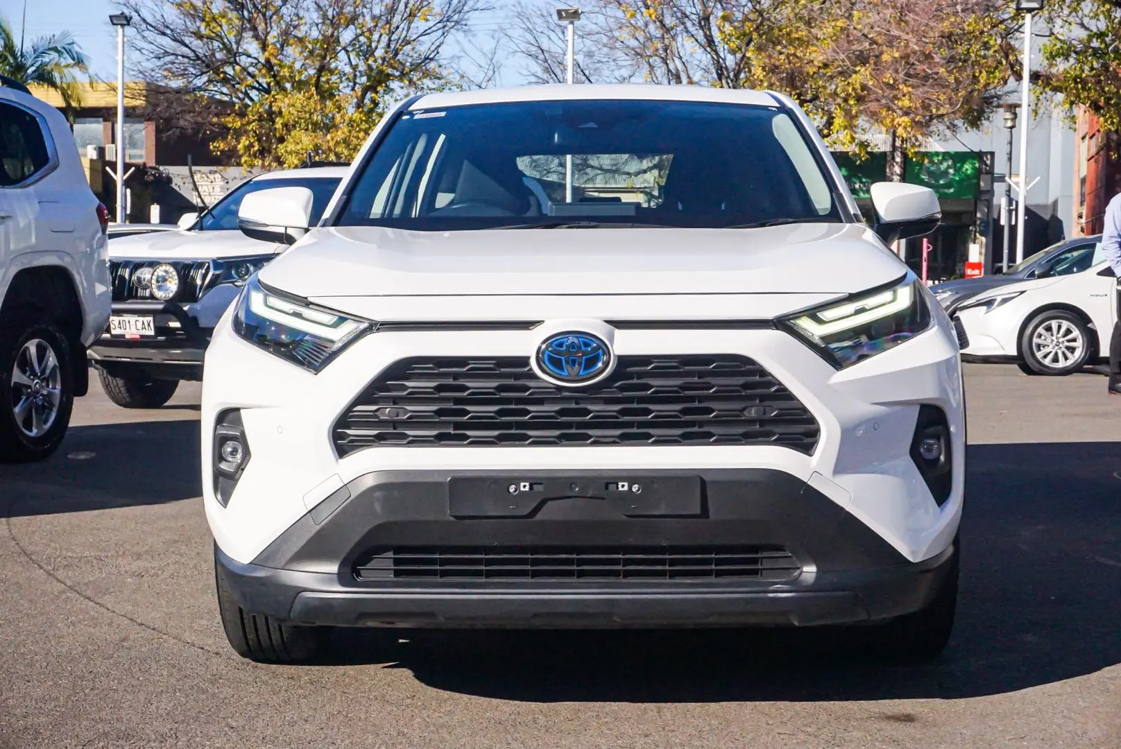 2022 Toyota RAV4 Gallery Image 4