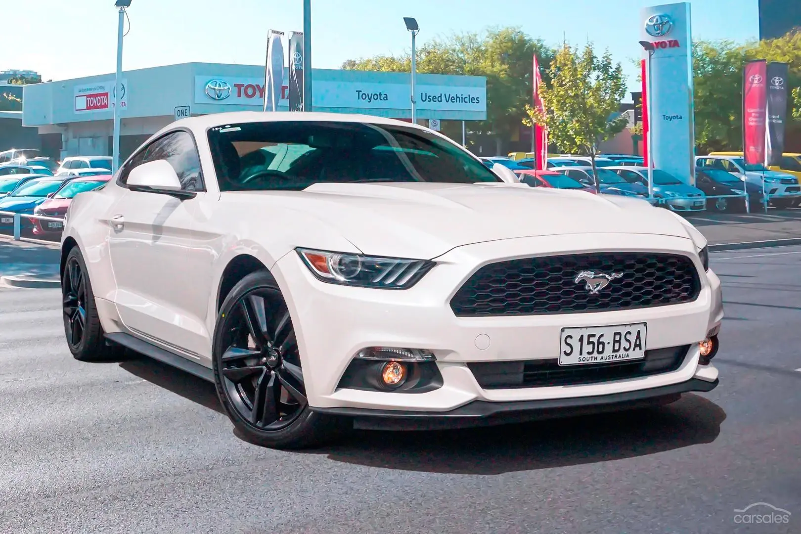 2016 Ford Mustang Image 1