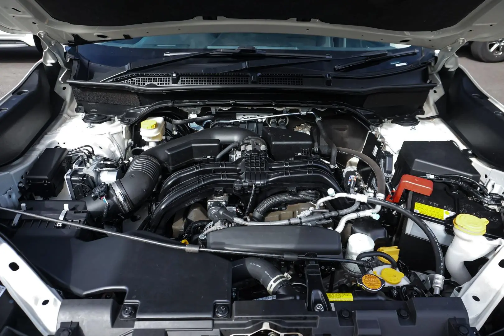 2024 Subaru Forester Gallery Image 26