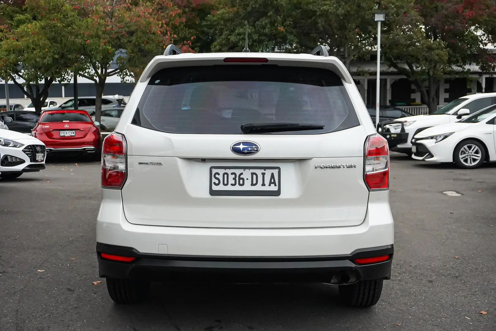 2014 Subaru Forester Gallery Image 6