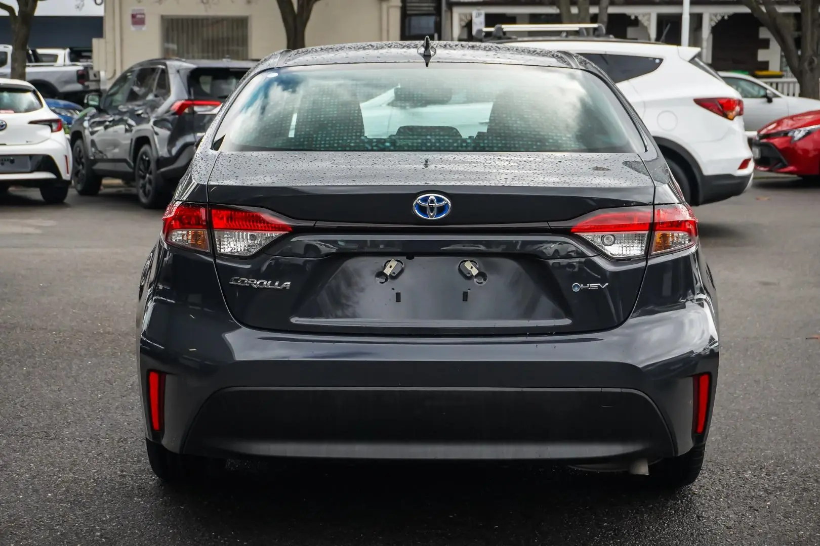 2025 Toyota Corolla Gallery Image 6