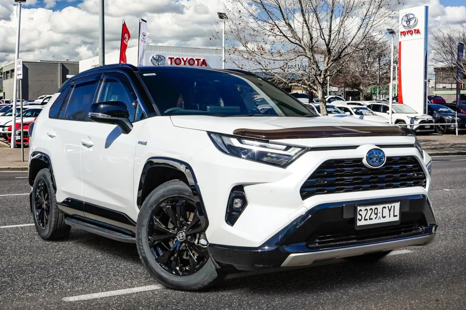2023 Toyota RAV4 Image