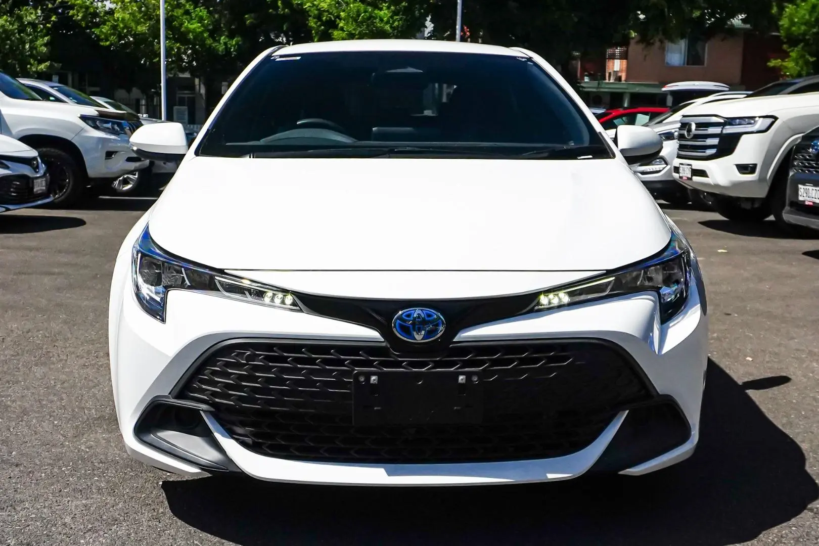 2024 Toyota Corolla Gallery Image 5