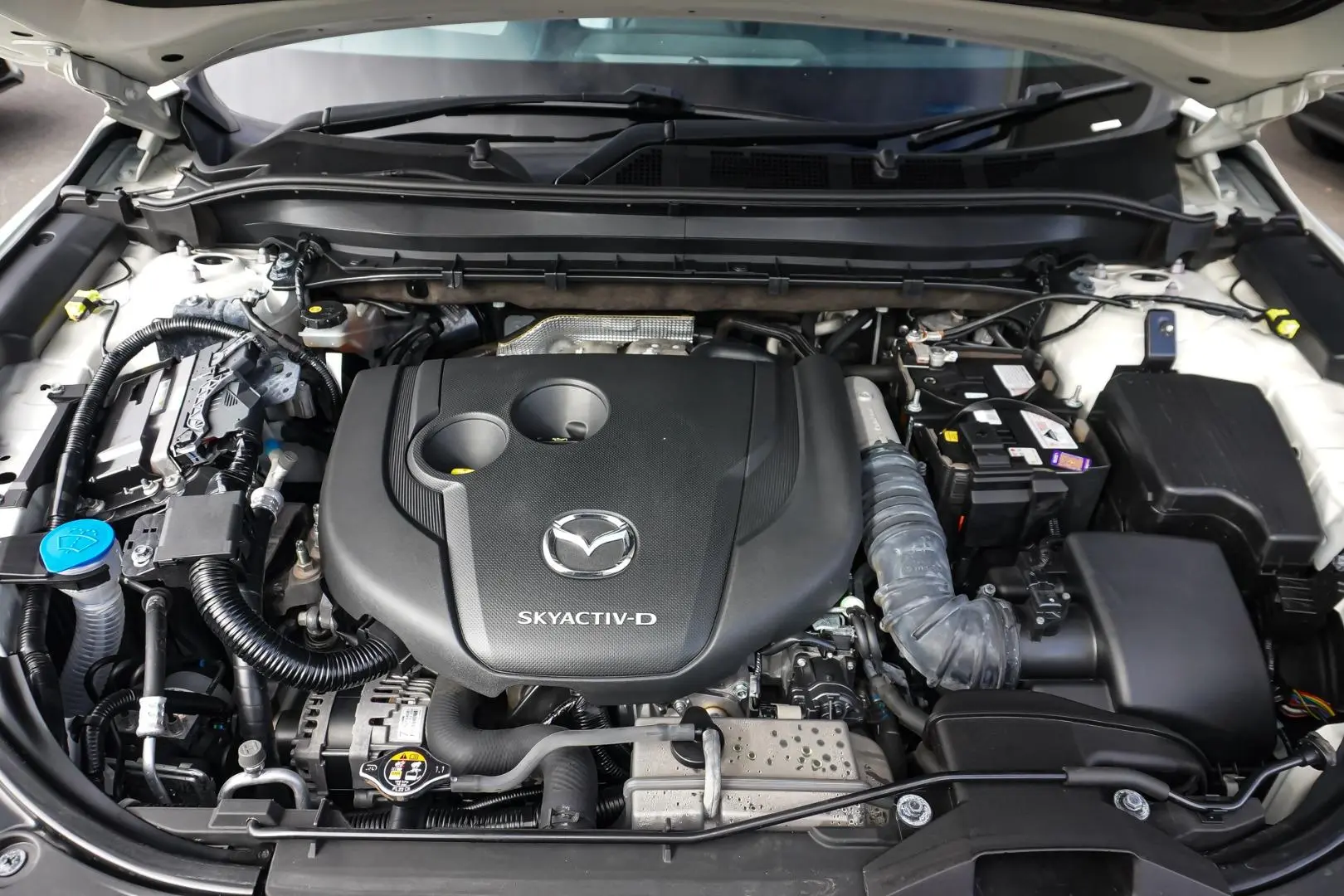 2020 Mazda CX-8 Gallery Image 25