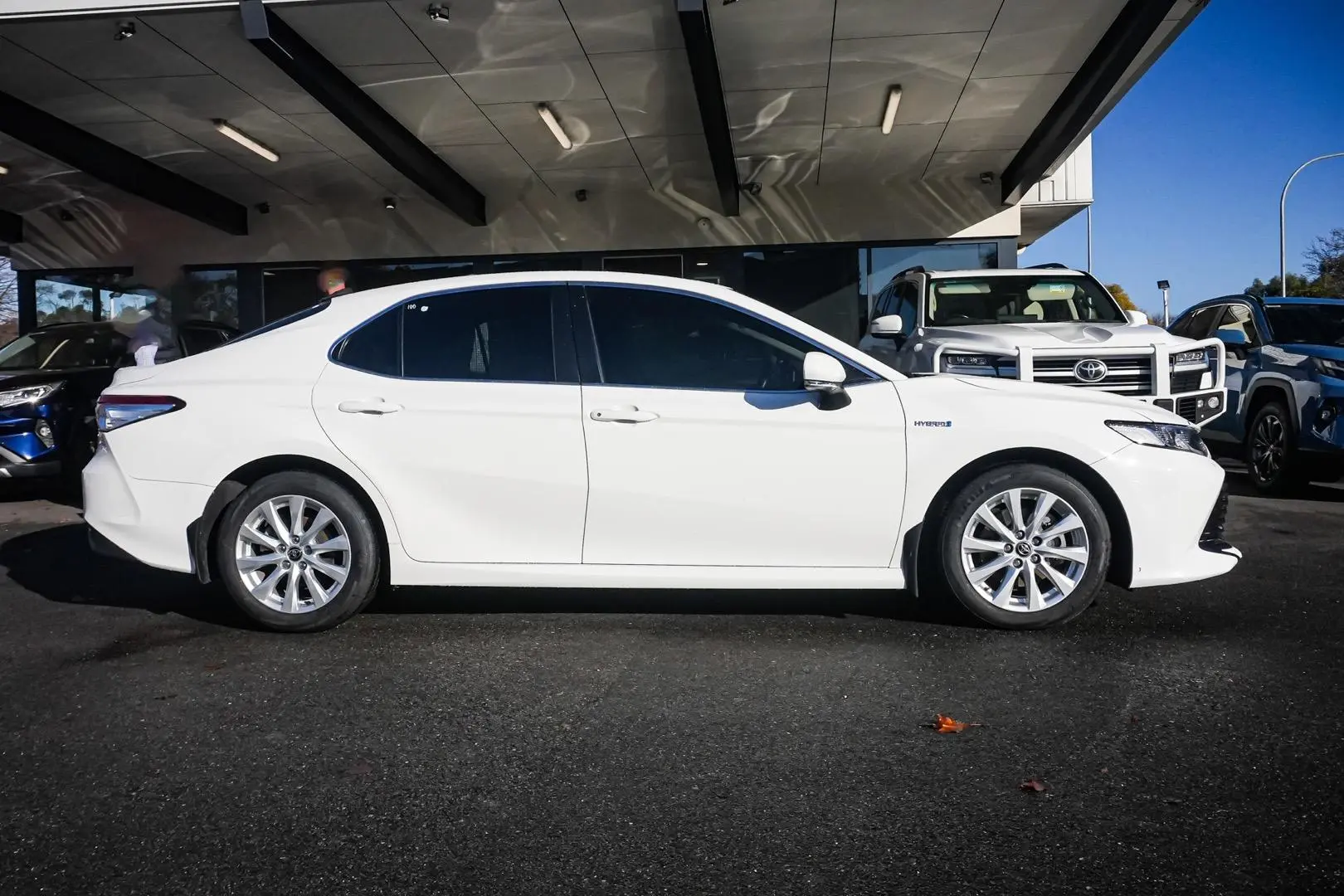 2019 Toyota Camry Gallery Image 4