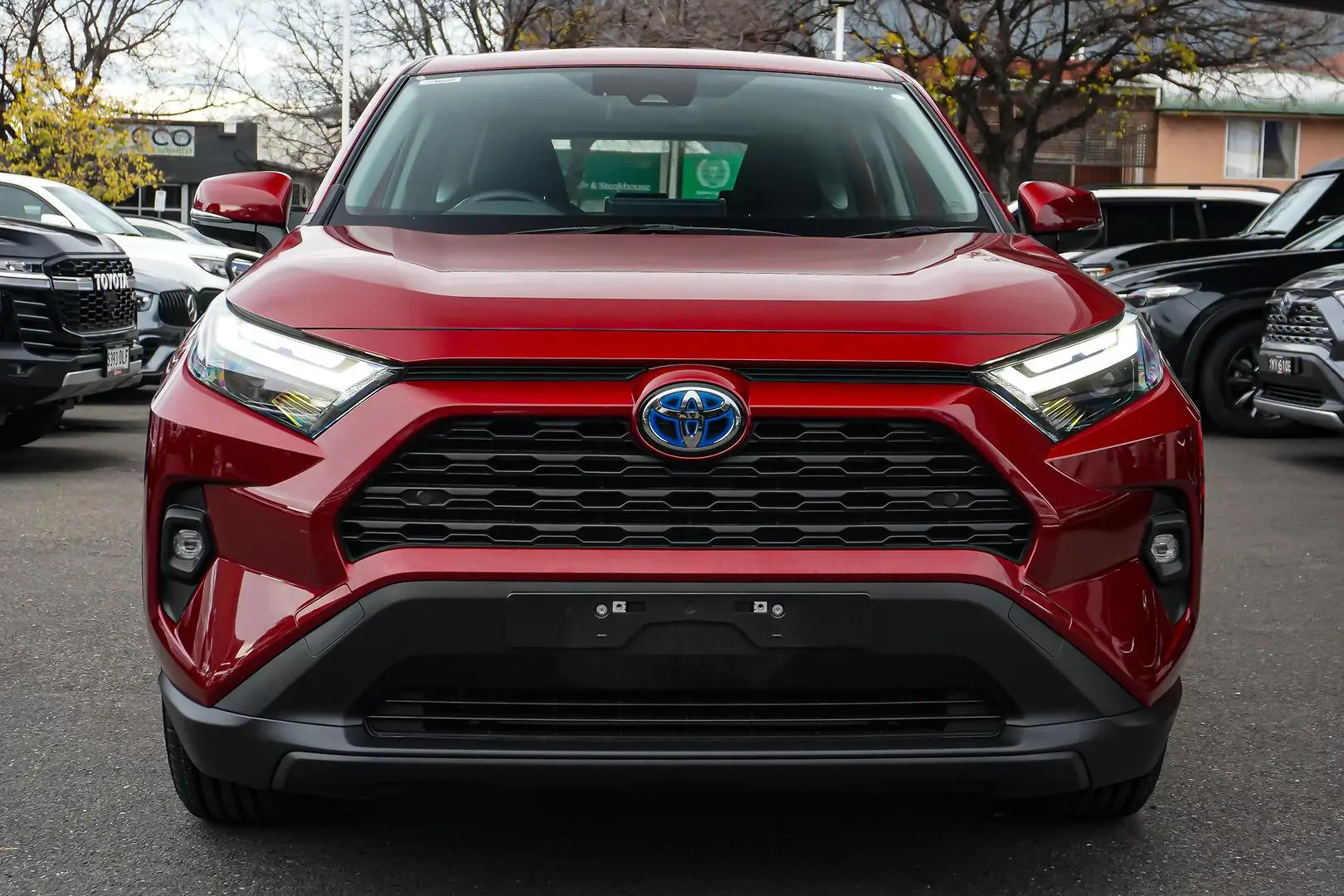 2024 Toyota RAV4 Gallery Image 4