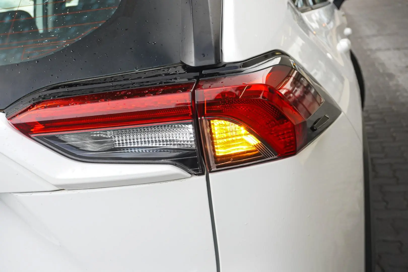2024 Toyota RAV4 Gallery Image 14