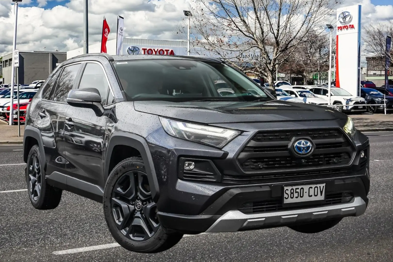 2022 Toyota RAV4 Image
