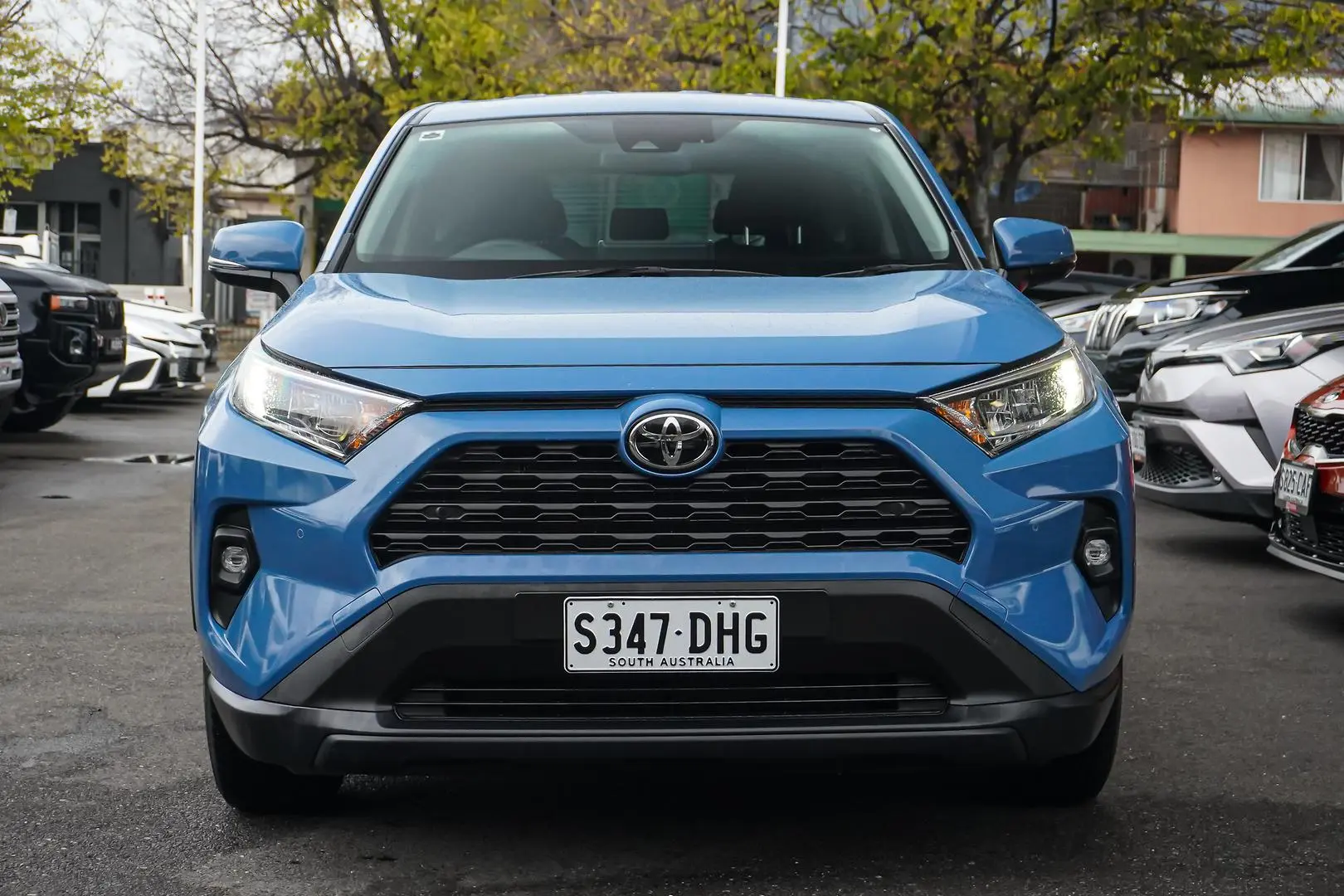 2022 Toyota RAV4 Gallery Image 4