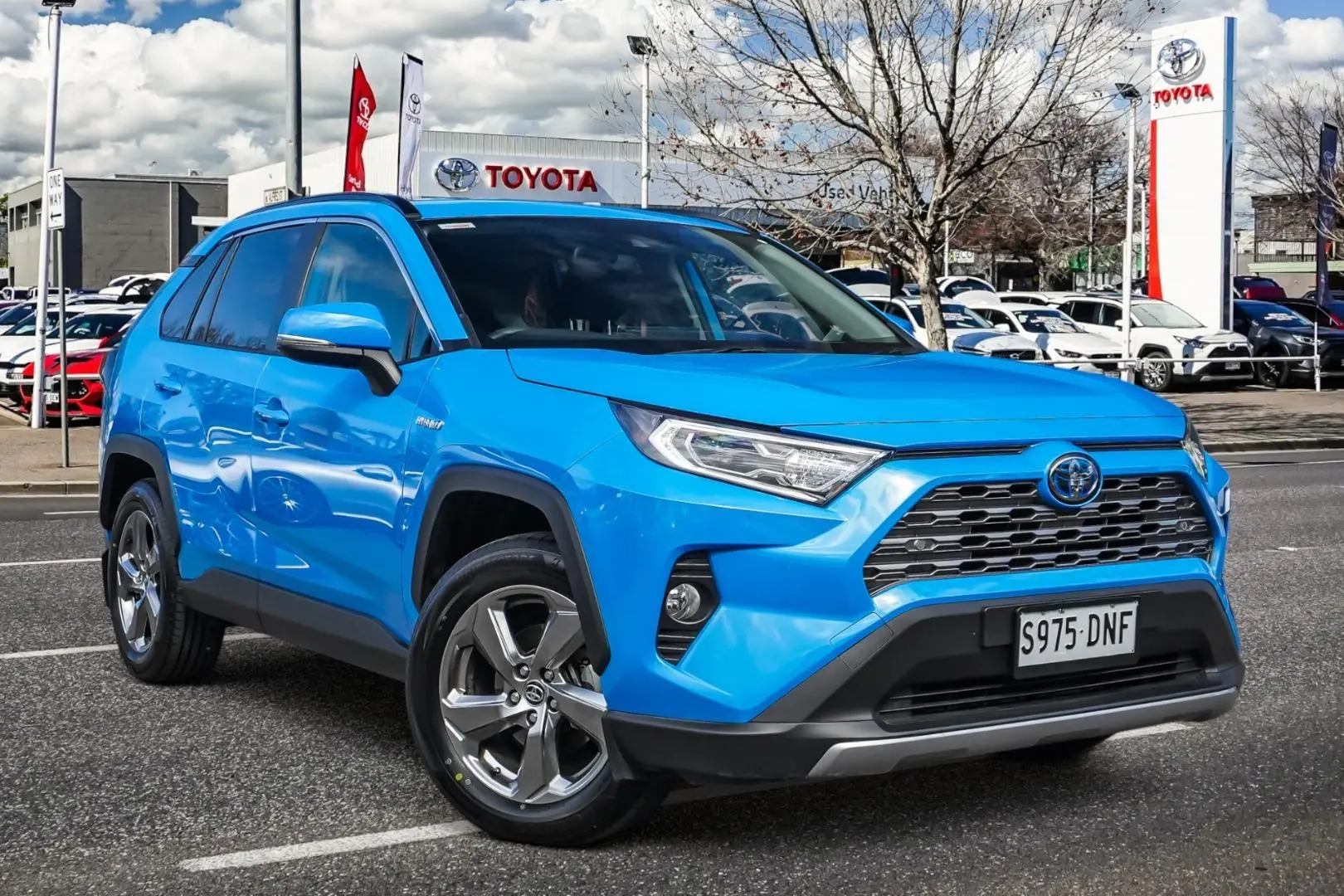 2020 Toyota RAV4 Image