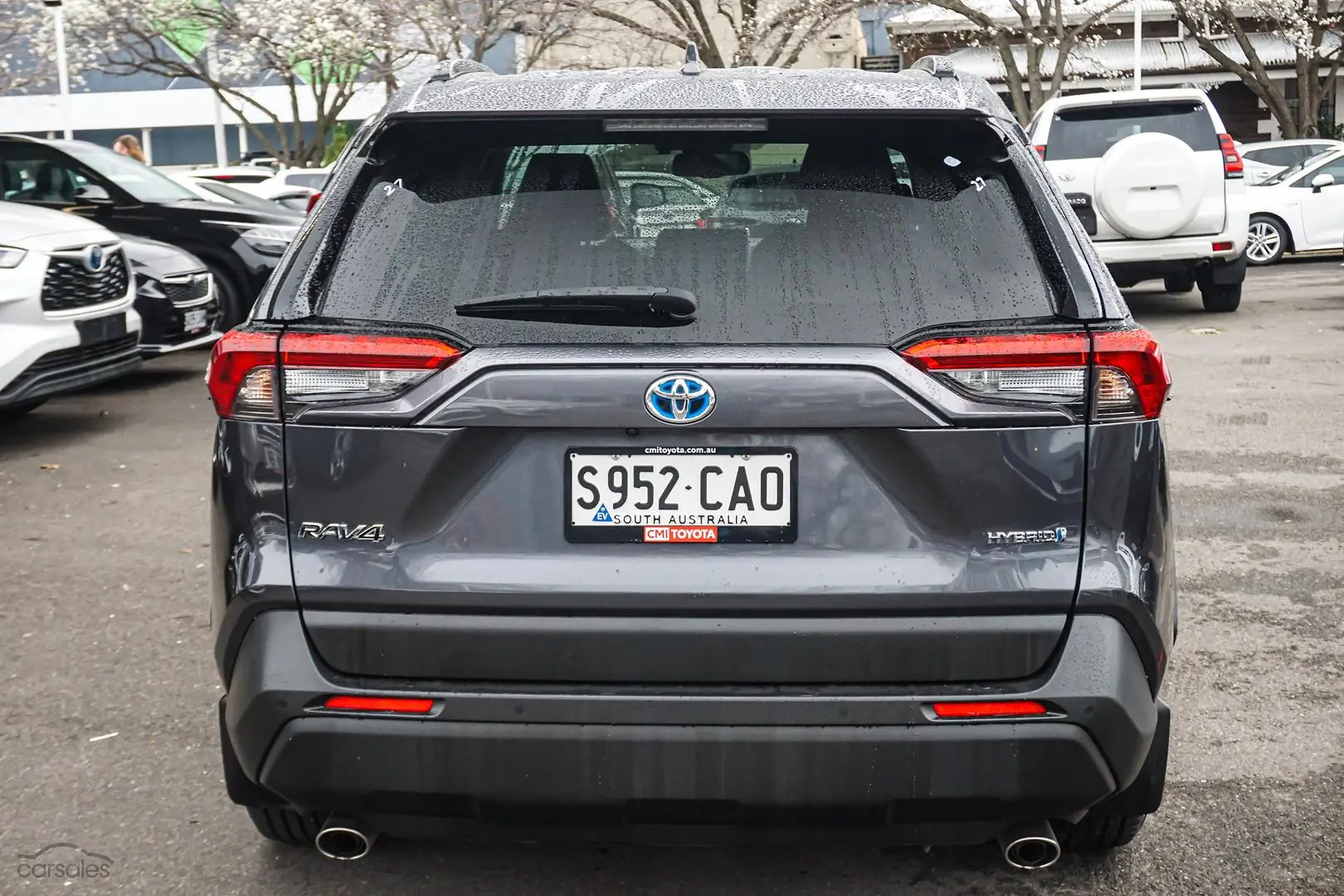 2019 Toyota RAV4 Image 6