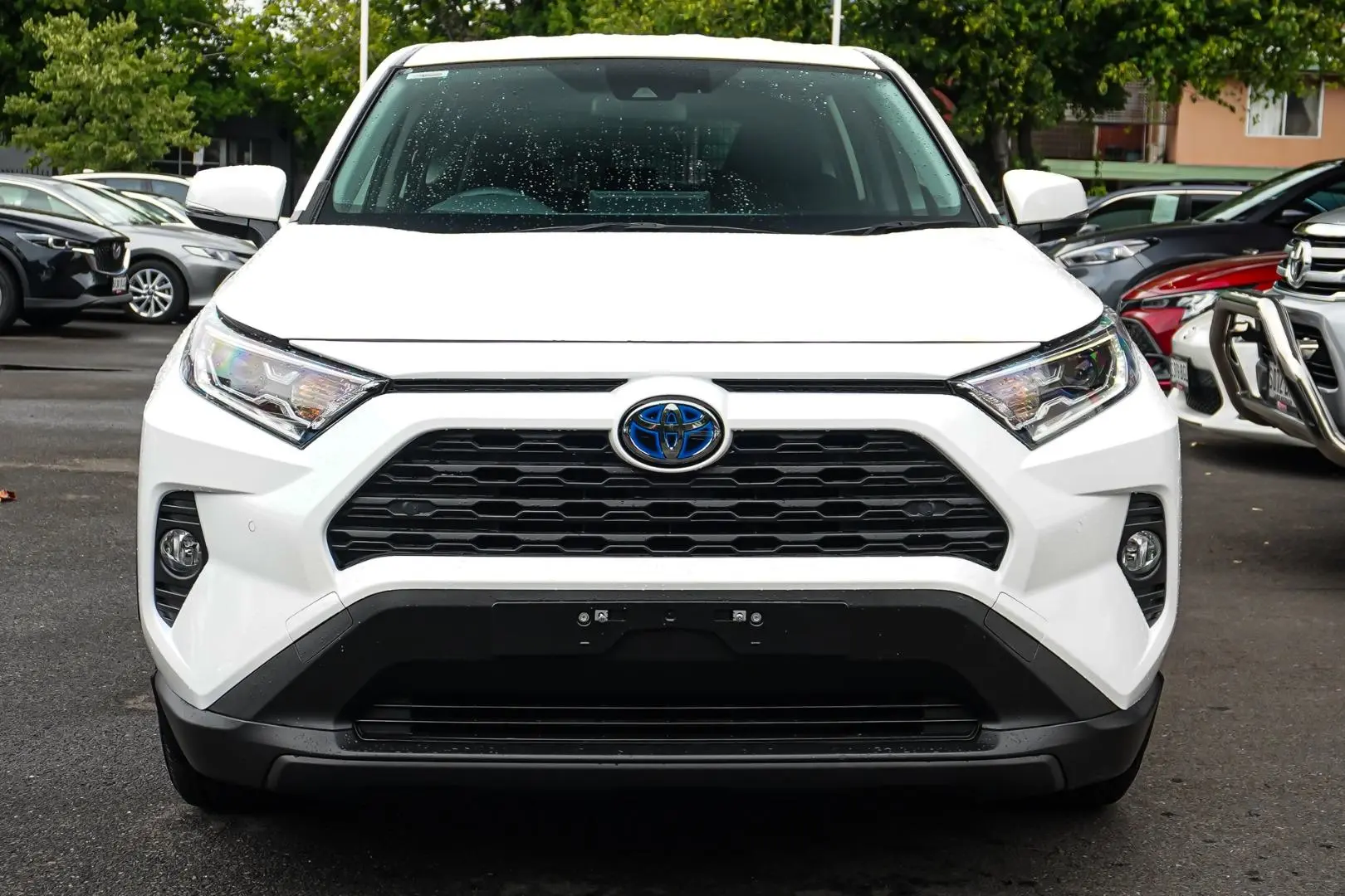 2020 Toyota RAV4 Gallery Image 4