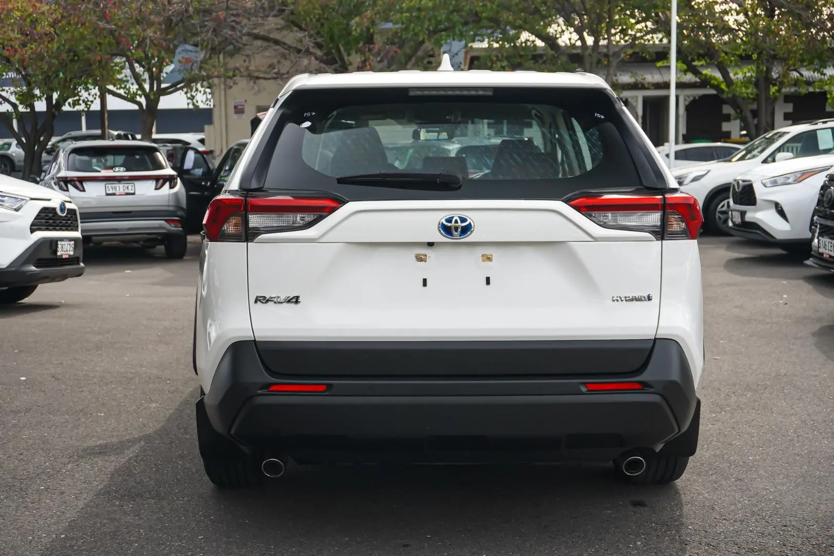 2024 Toyota RAV4 Gallery Image 5