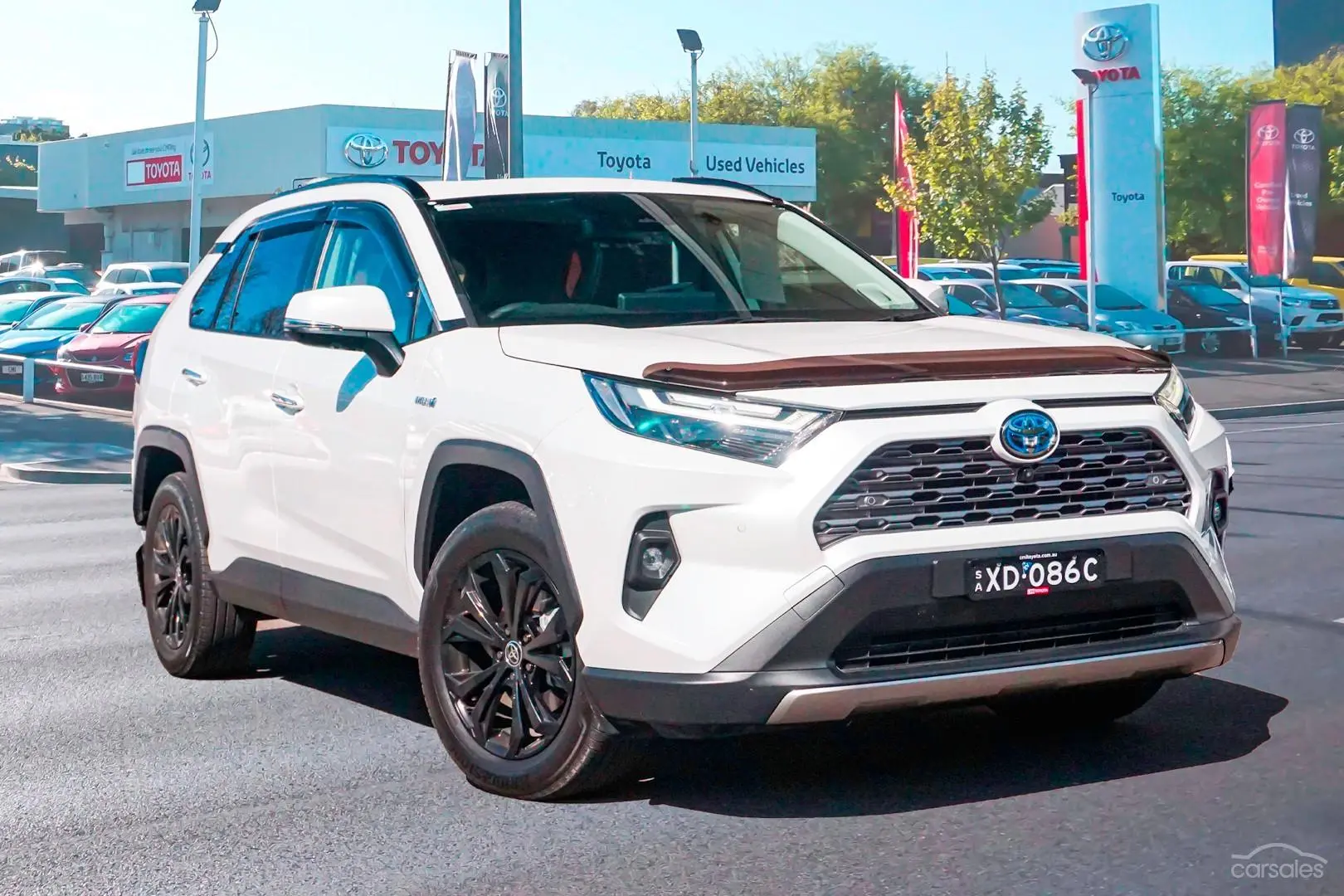 2023 Toyota RAV4 Image 1