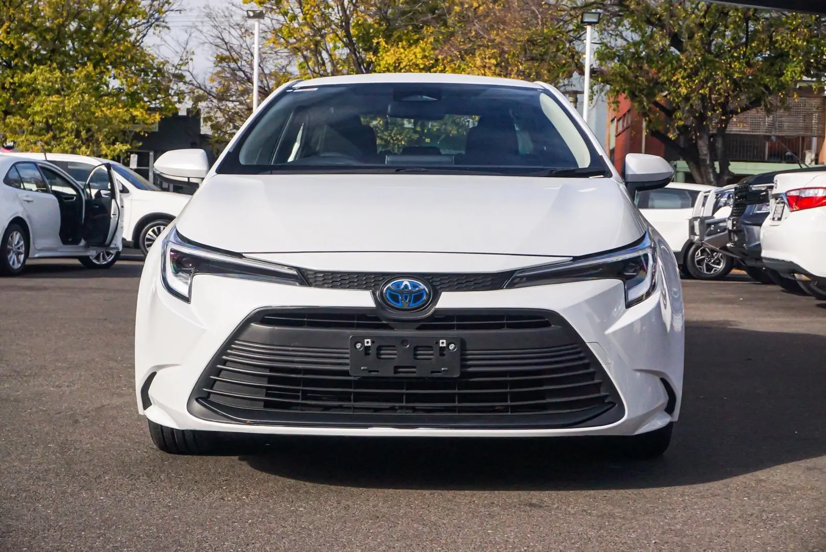 2023 Toyota Corolla Gallery Image 4