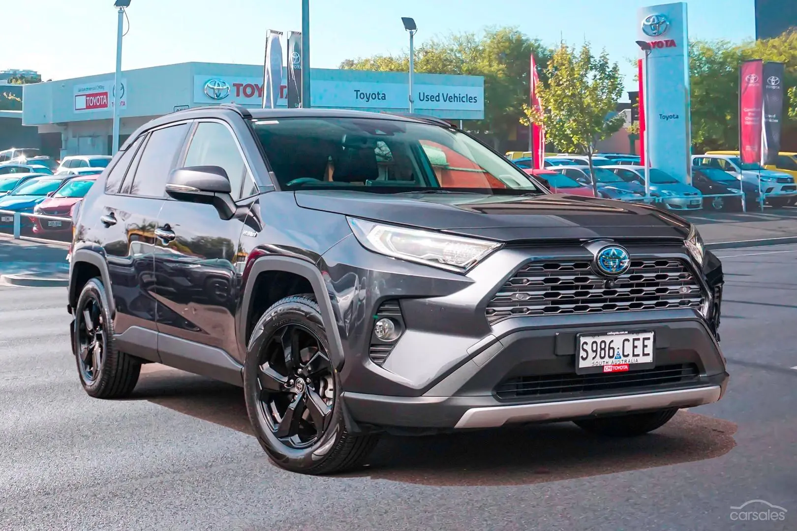 2020 Toyota RAV4 Image 1