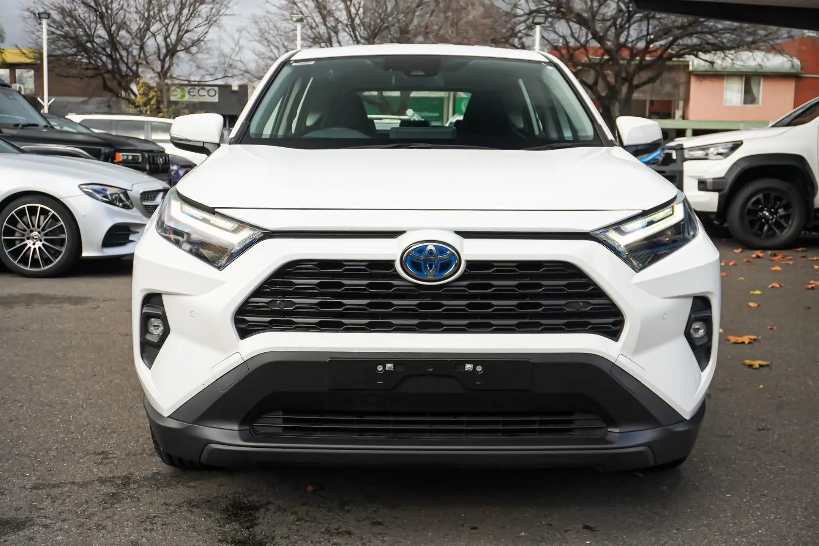 2024 Toyota RAV4 Gallery Image 4