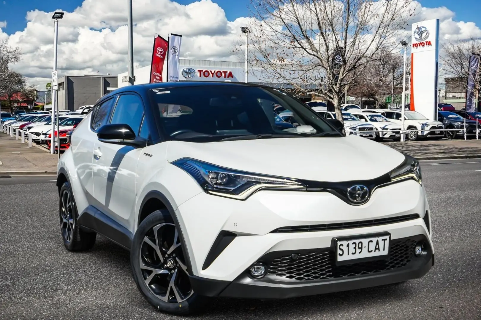 2019 Toyota C-HR Image