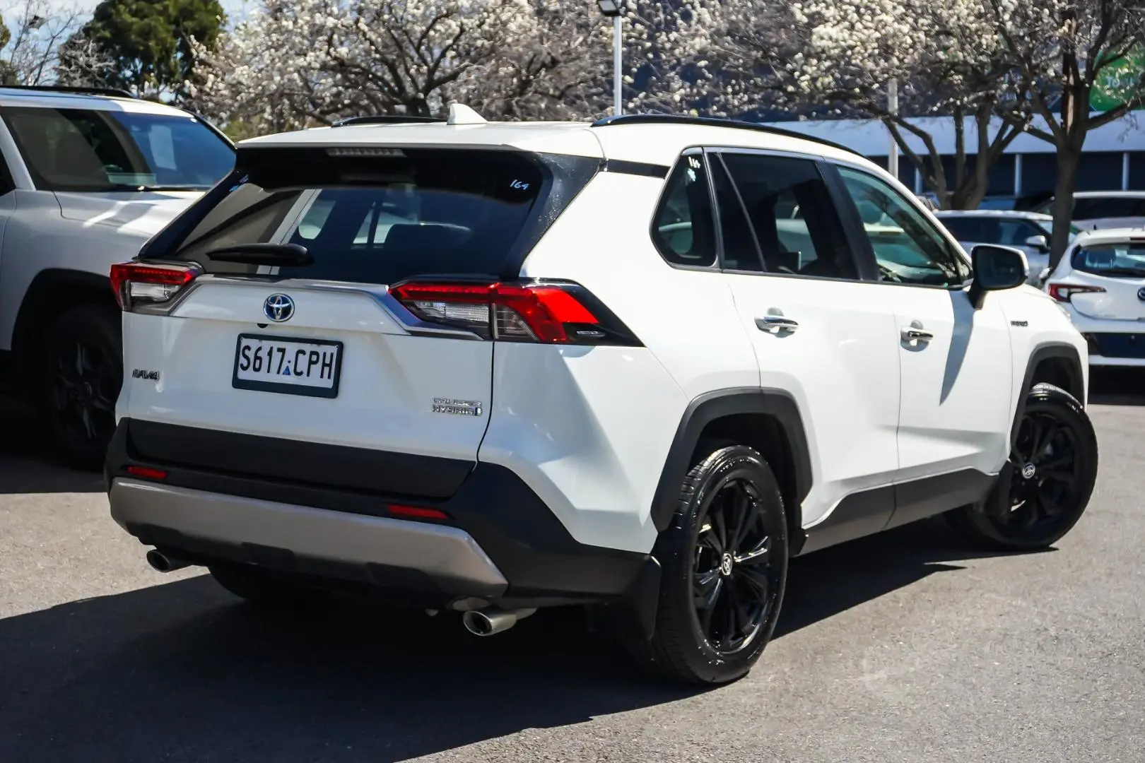2022 Toyota RAV4 Gallery Image 3
