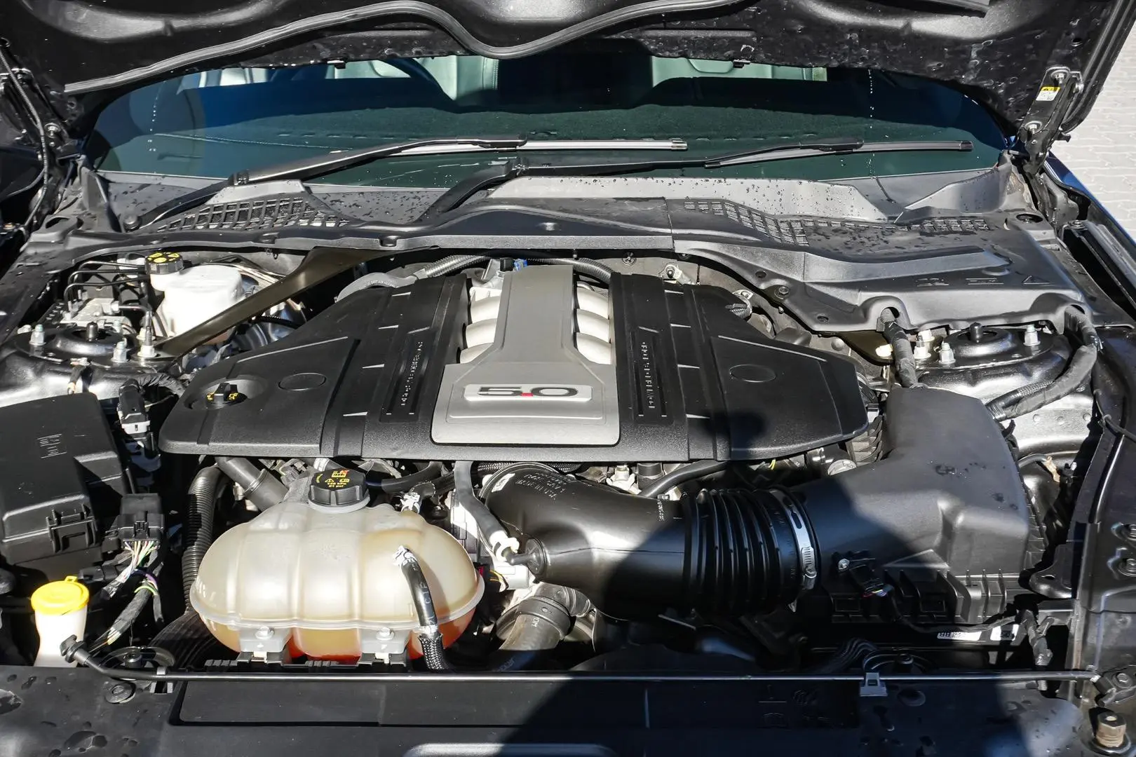 2018 Ford Mustang Gallery Image 22