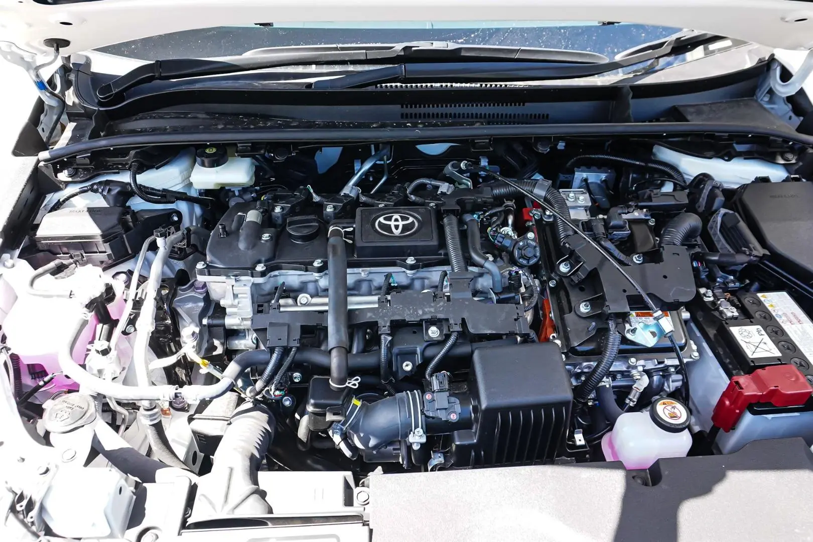 2024 Toyota Corolla Gallery Image 24