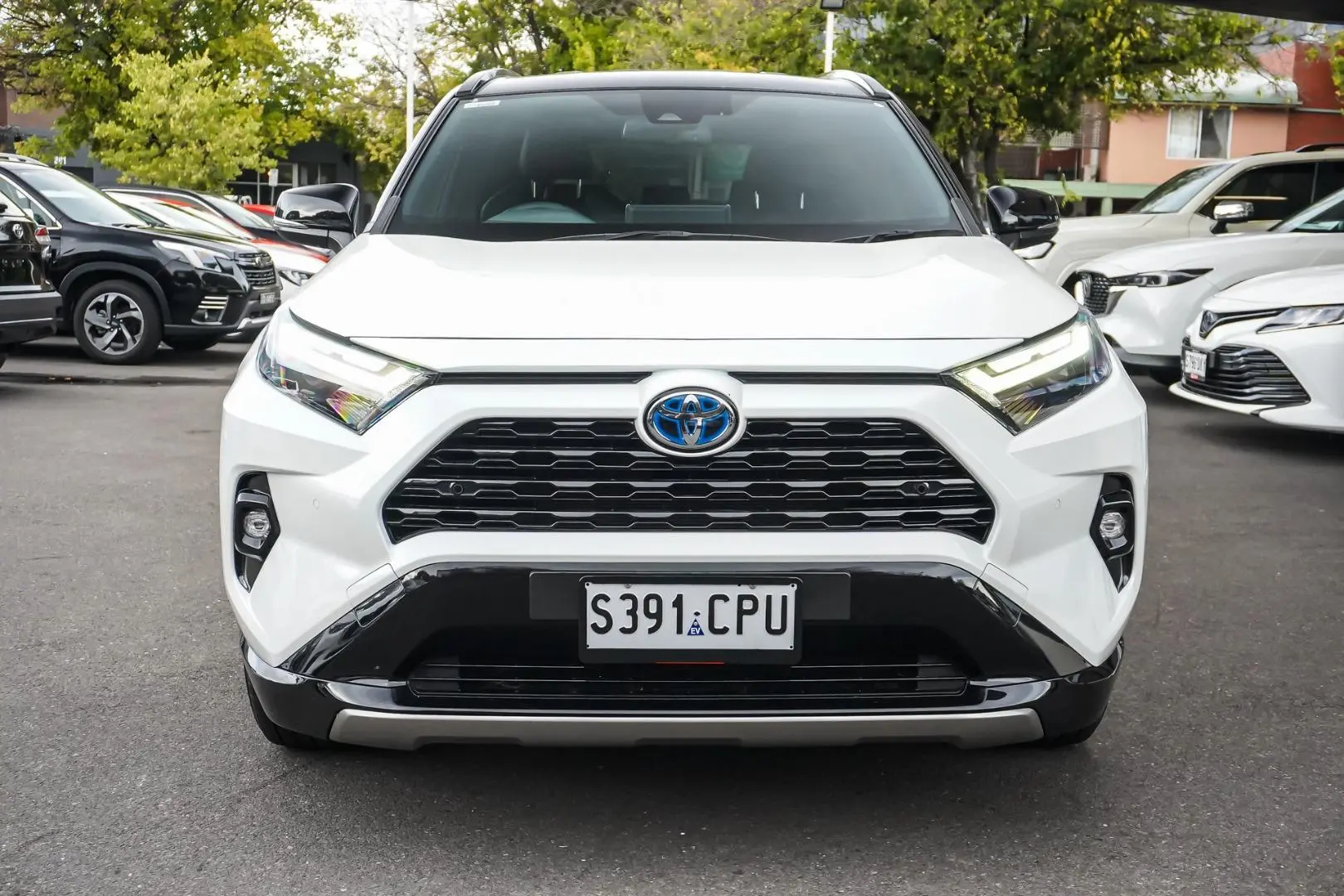 2022 Toyota RAV4 Gallery Image 5
